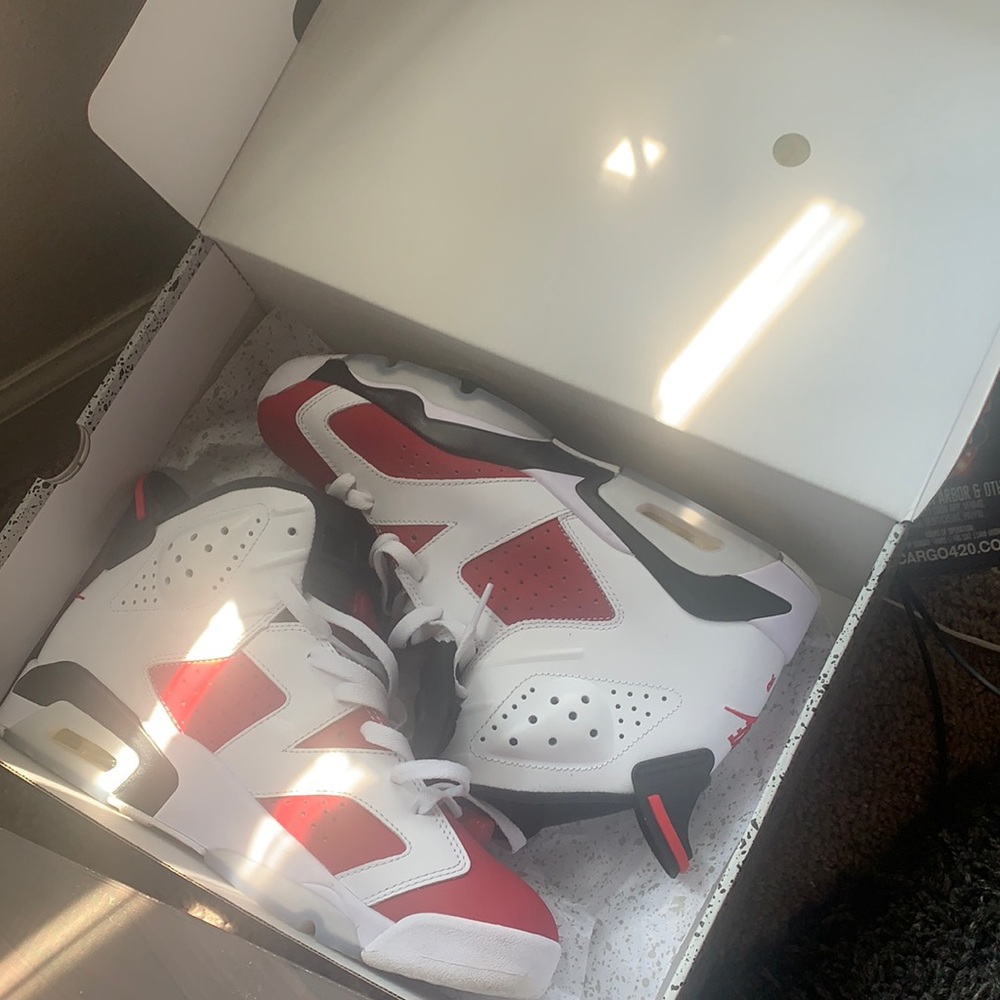 Carmine 6s 100% Authentic sz 9.5